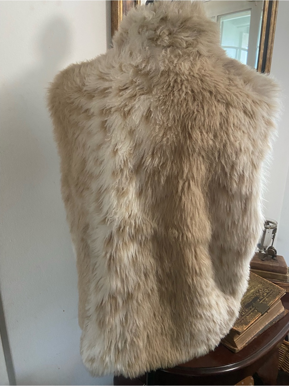 Plush Faux Fur Vest in Light Beige - Picture 2 of 5